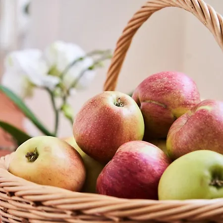 Hotel Morgensonne Badenweiler