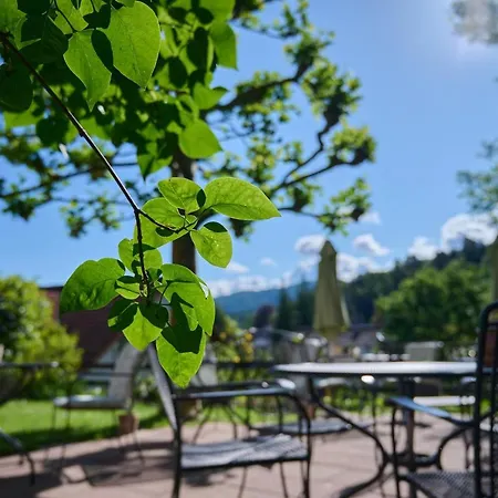 Morgensonne Hotell
