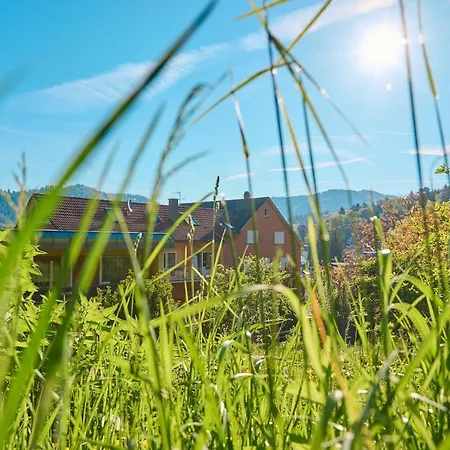 Morgensonne Μπάντενβαϊλερ