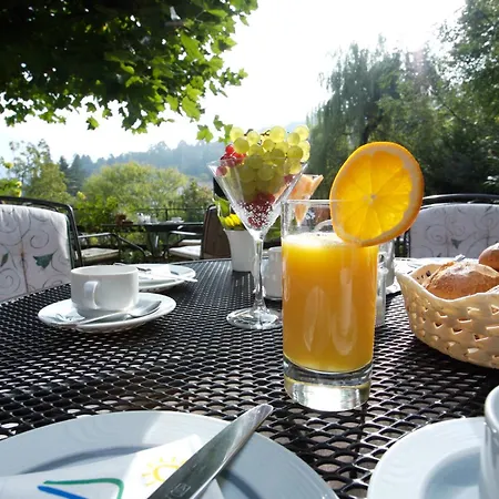 Hotell Morgensonne Badenweiler