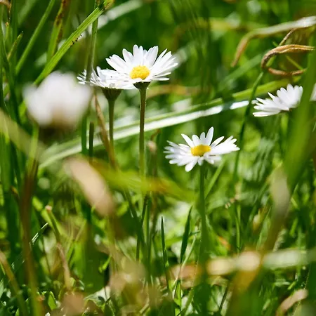 Morgensonne Ξενοδοχείο 3*