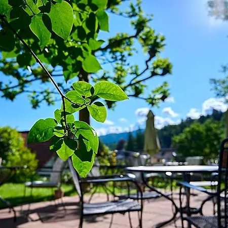 Morgensonne Badenweiler